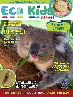 cover image of Eco Kids Planet Magazine